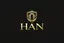 Han Gayri̇menkul logo