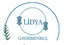 Li̇dya  Gayri̇menkul logo