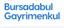 İbrahim  Çam logo