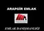 Ercan İlgin logo