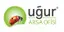 Yusuf Efe logo