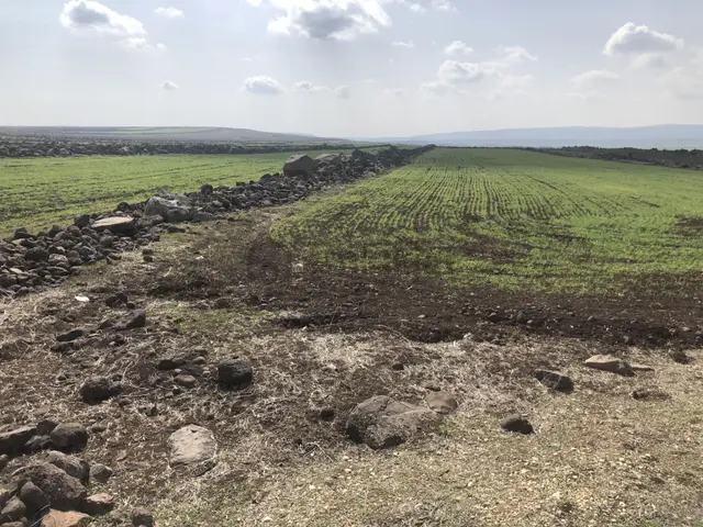 Sami Bakır'dan Beysekide Polateli Osb Ve Sarıt İmarının Yanı Arazi 1
