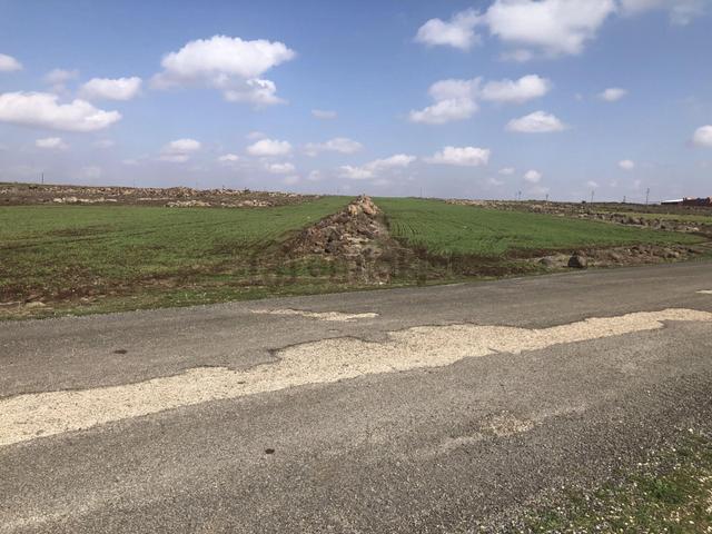 Sami Bakır'dan Beysekide Polateli Osb Ve Sarıt İmarının Yanı Arazi 2