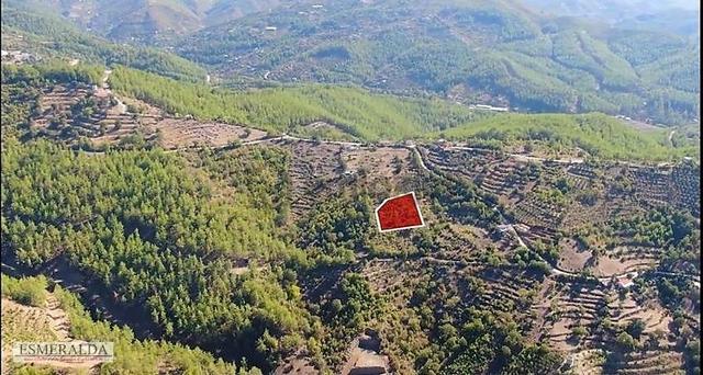 Alanya Sapadere'de Satılık Tarla 5