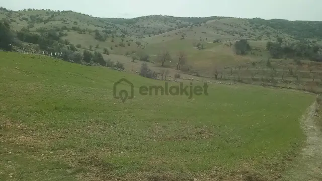 Eğirdir Sarıidris Kalecik De Elmalık Tarla Müstakil 3