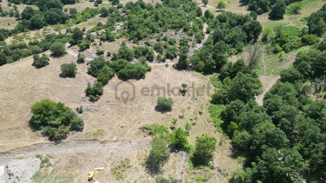 Kocaeli Karamürsel Çamdibi Mahallesi 4318 M2 Satılık Tarla 4