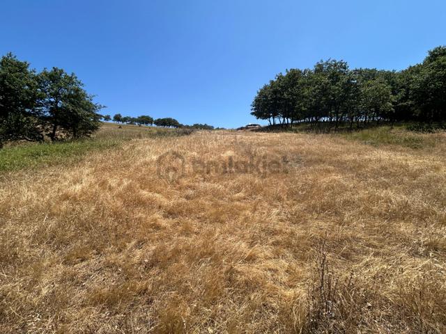 Kocaeli Karamürsel Çamdibi Mahallesi 4858 M2 İmarlı Satılık Tarla 4