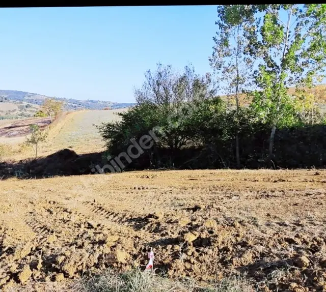 Kocaeli Kandıra Topluca Köy Üzerinde Satılık Köşe Parsel 5