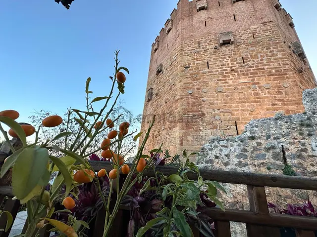 Alanya Çarşı Mah.iskele Cad.satılık Tarihi Konak 3
