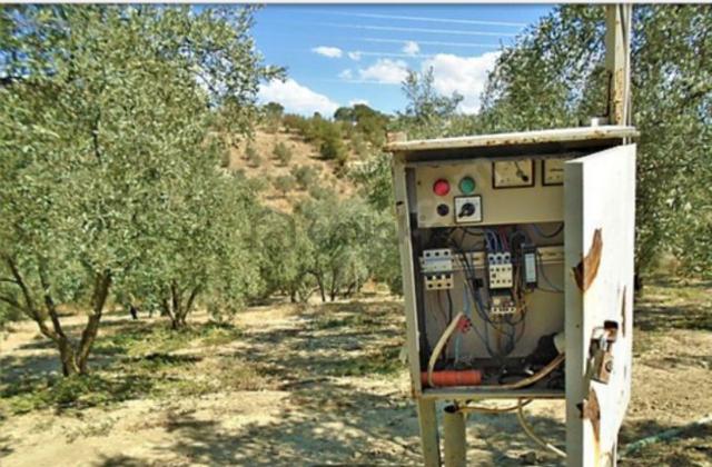 Manisa Köprübaşı Mh De Satilik 16 Dönüm Zeytinlik 4