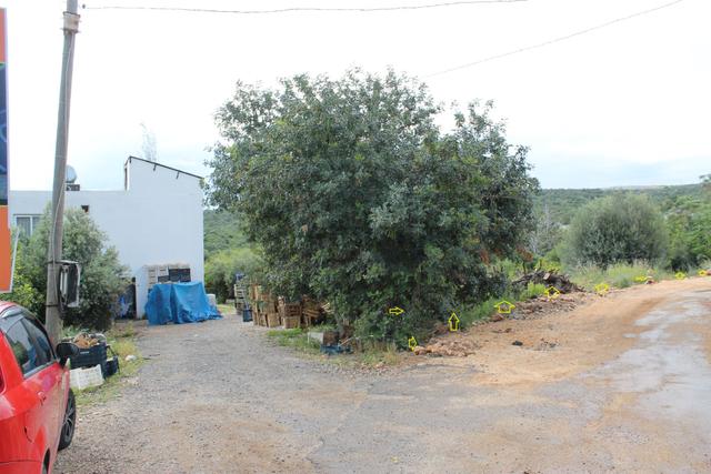 Erdemli Ayaş'da Turuzim Konut Ticari İmarlı Satılık Arasa 3