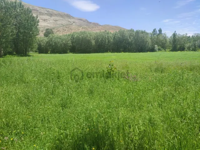 Karpınar Çiftliği 1