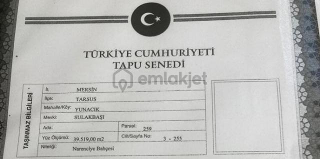 Sahibinden Yenice Yunacıkta Narenciye Bahçesi 39.519 M2