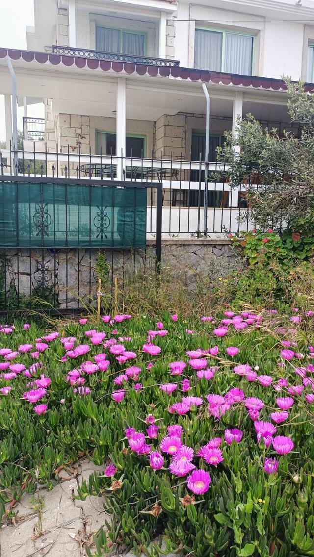 Çeşme Mamurbaba Mevkiinde Sezonluk Kiralık Mobilyalı Villa 5