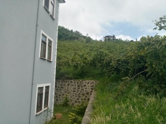 Şahinoğlu Emlaktan, Trabzon Derecik' Te, 1 Daire Fiyatına, 4,5 Dekar Fındıklık Ve 3 Katlı Villası. 5
