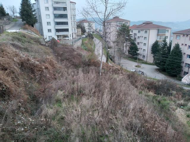 Aktaş Fortexler Sitesinde Sahibinden Satılık 5
