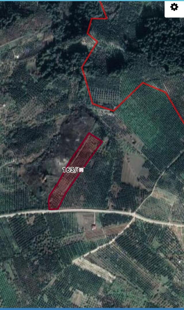 Ena Group Bursa Mudanya Çepni'de Asfalta Cephe 14443 M2 Bahçe 1