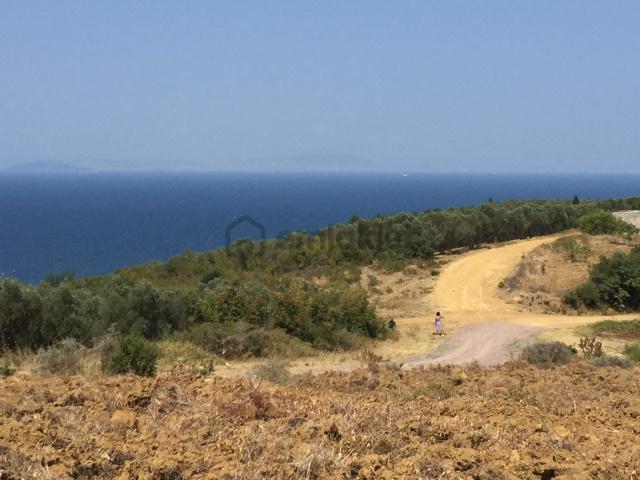 Satılık Yalova Çınarcık Senkoyde Villa İmarli Arsa 4