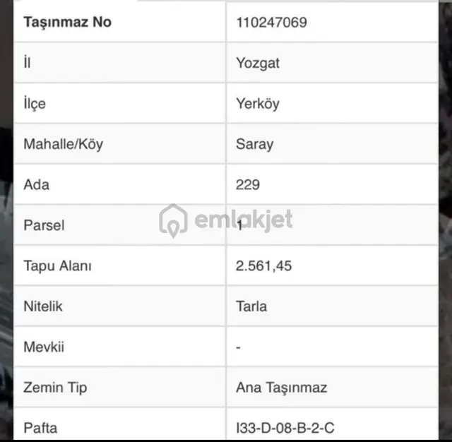 📍onur Emlak Gayrimenkul Ve Sigortacılıktan Yeni Gelen Saray Beldesinde Satılık Tarla 📍onur Emlak Gayrimenkul Ve Sigortacılıktan Yeni Gelen Saray Beldesinde Satılık Tarla