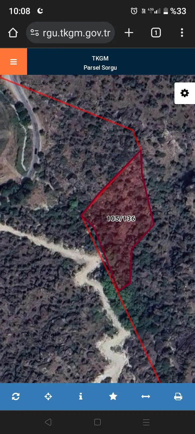 Acil Satılık Yatırımlık Zeytinlik 2