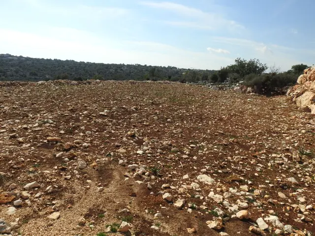 Narlıkuyu Hasanaliler De Deniz Ve Kale Manzaralı Satılık 1400 M2 Tarla!!!