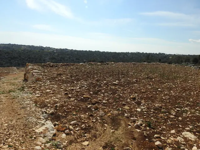 Narlıkuyu Hasanaliler De Deniz Ve Kale Manzaralı Satılık 1400 M2 Tarla!!! 3