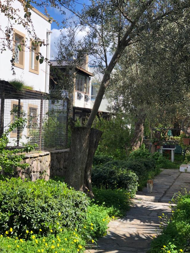 Bodrum Turgutreis Merkezde 3+1 Bahçe Katı Satılık Daire 3