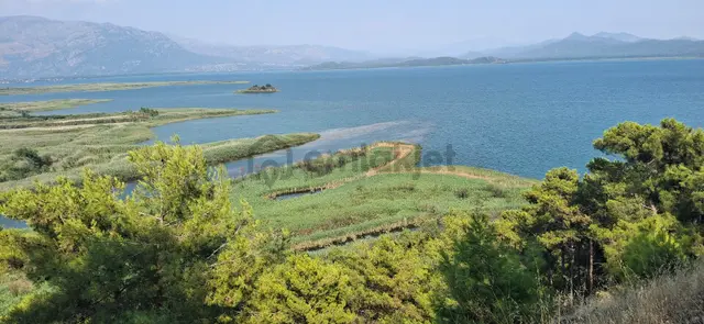 Köyceğiz'de Yazlık 1170 M2 Arsada 4 Daire 3