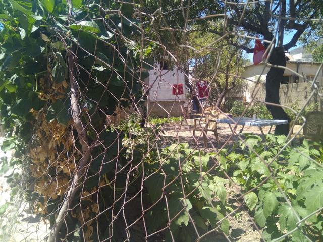 Muğla Datça Yazı Mahallesi Köyiçi Mevkiinde 125 M2 Arsa 3