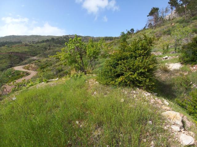 Yenikaş Yağrat Yaylası 1206m² Deniz Manzaralı 5