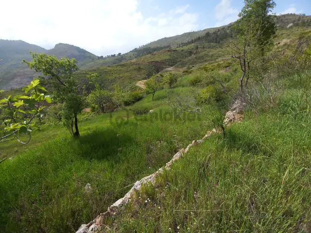 Yenikaş Yağrat Yaylası 1206m² Deniz Manzaralı 4