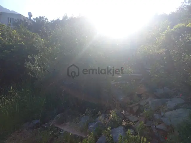 Bozyazı – Gözce 560m² Arsa İçinde Bakım Gerektiren Taş Ev 3