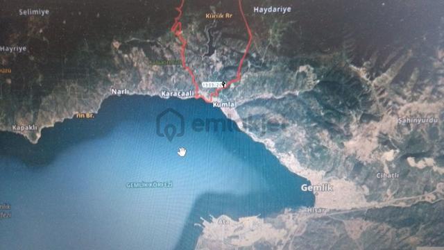 Büyük Kumlada Satılık Zeytinlik 4580m2. Asfalta Cephe Elk.su Var 5