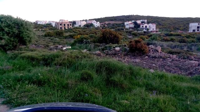 R8-çeşme Germiyan Full Deniz Manzaralı 500 M2 Arsa 5