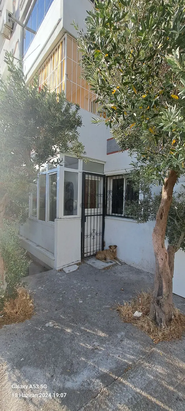 Bornova Evka-4 De 2+1 Satılık Daire.. 1
