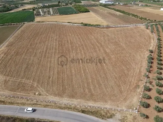 Menderes Turyap'tan Oğlananasında 5000m² Kiralık Arazi 2