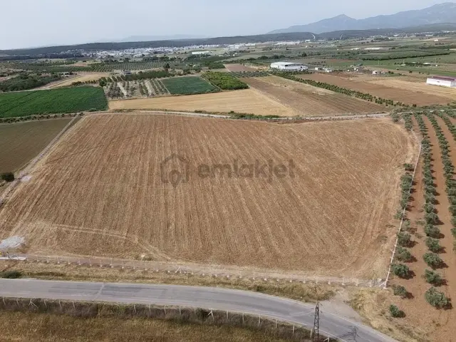 Menderes Turyap'tan Oğlananasında 5000m² Kiralık Arazi 3