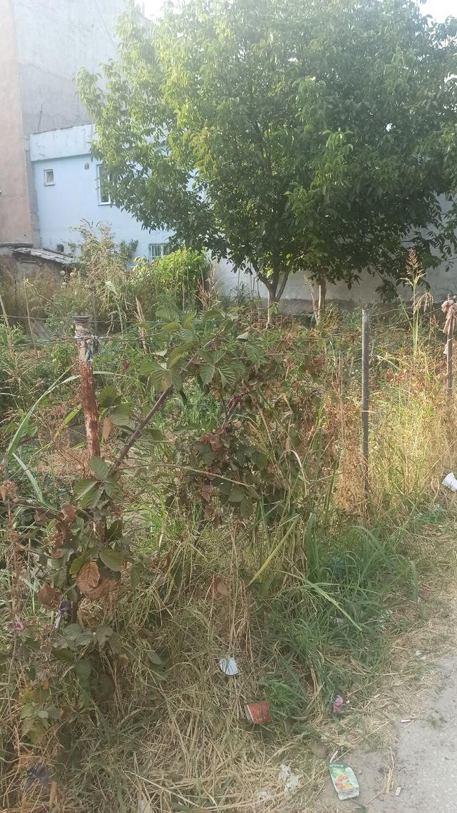 Samanlı Sakarya Mahallesinde 200 Metrekare Kiralık Depo Alanı 5