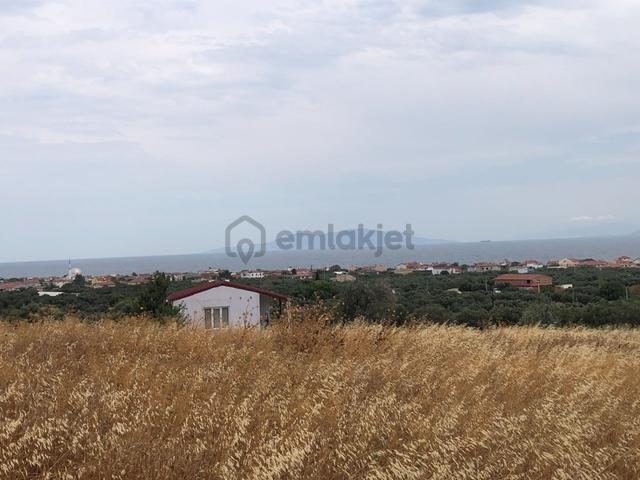 Şarköy De Işık Emlaktan Eriklice Mah De 267 M2 0/25 İmarlı Arsa 3