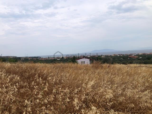 Şarköy De Işık Emlaktan Eriklice Mah De 267 M2 0/25 İmarlı Arsa 5