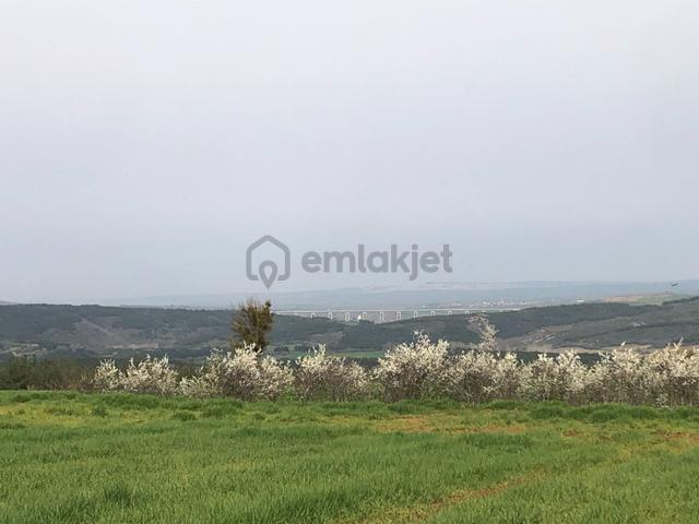 Şarköy De Işıık Emlaktan İsaklı Mah De 97.000 M2 Tarla 2