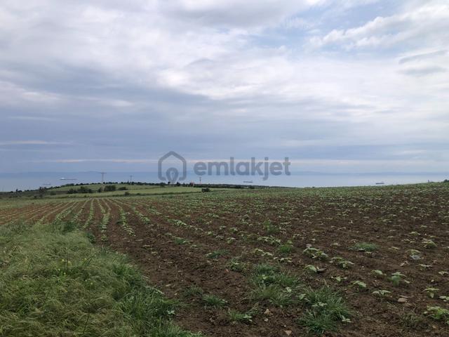 Şarköy De Işık Emlaktan Kocaali Mah De 1450 M2 Tarla 2