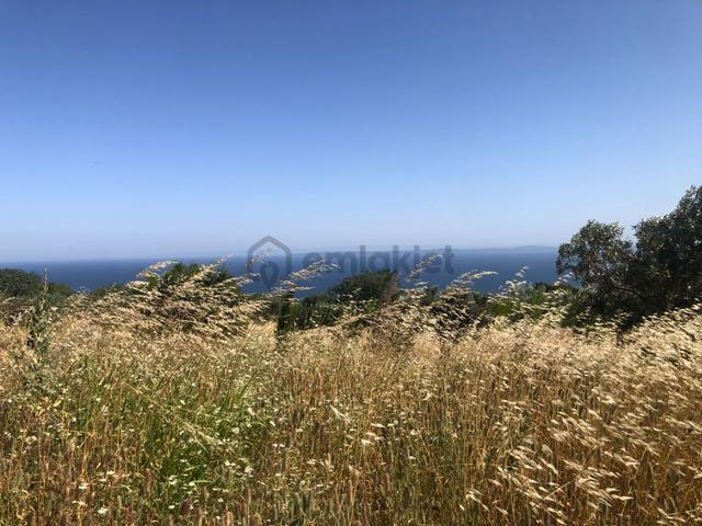 Şarköy De Işık Emlaktan Kirazlı Mah De 1823 M2 Kirazlık. 4