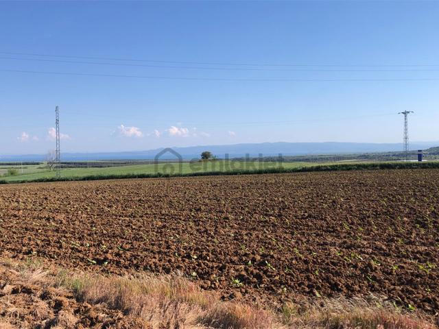 Şarköy De Işık Emlaktan Kavak Mah De 38.000 M2 Tarla 2