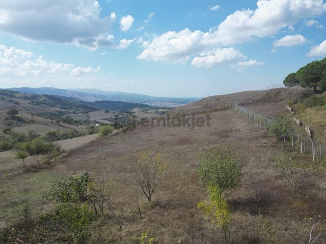 Kocaeli Karamürsel Fulacık Satılık 4985 M2 Tarla 3