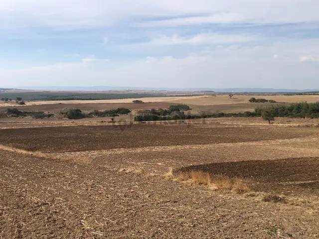 Şarköy De Işık Emlaktan Kızılcaterzi Mah De 2600 M2 Tarla 4
