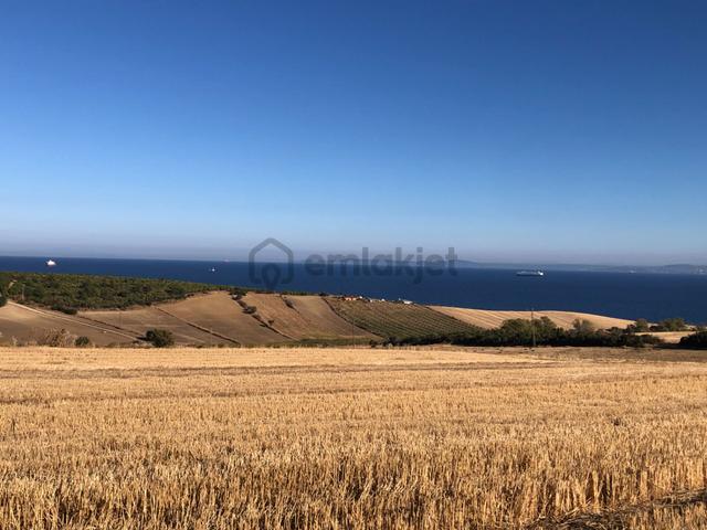 Şarköy De Işık Emlaktan Kızılcaterzi Mah De 8481 M2 Tarla 4