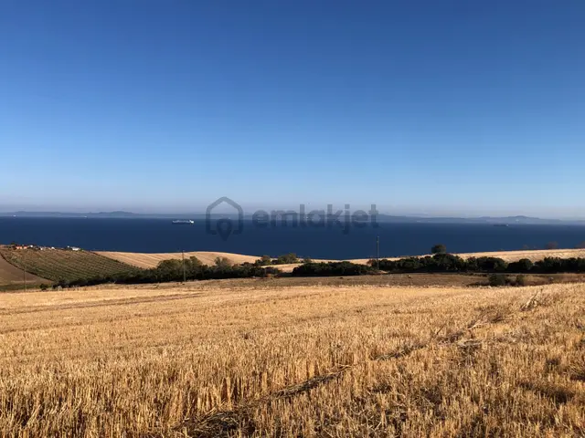 Şarköy De Işık Emlaktan Kızılcaterzi Mah De 8481 M2 Tarla 1