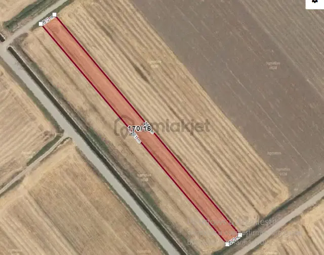 Özpınar ,dan Kisecik Satılık Sulu Tarla 4312 M2 Yolu Var 7 Km Merkeze 1