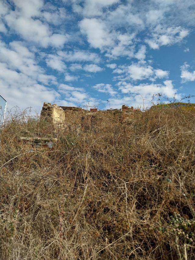 Aydın Efeler Baltaköyde Konut/villa İmarlı 789 M2 Arsa 5